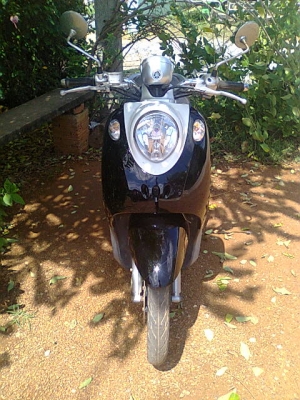 ฟีโน่51แม็กแท้ ฟีโน่51แม็กแท้