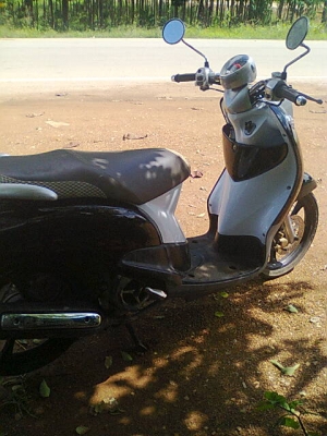 ฟีโน่51แม็กแท้ ฟีโน่51แม็กแท้