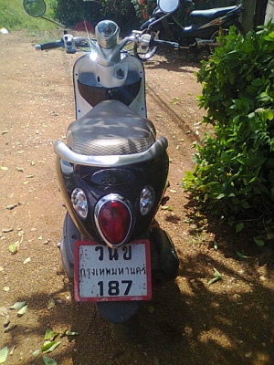 ฟีโน่51แม็กแท้ ฟีโน่51แม็กแท้