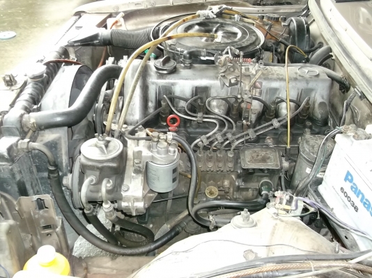 ขายเบ้น -300d