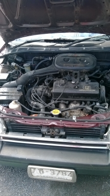 ขาย รถ honda พร้อมใช้ ขาย รถ honda พร้อมใช้