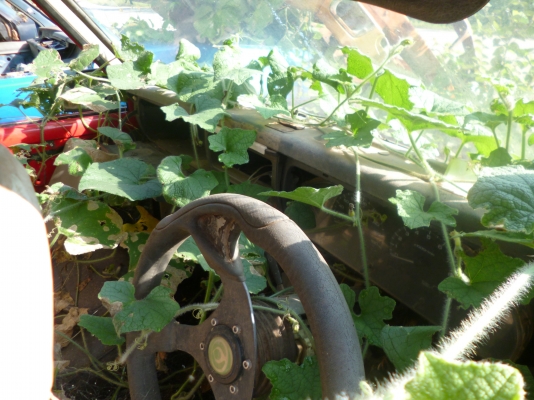 ขายหัวเก๋ง มาสด้า แค๊ปเล็ก สวย ๆ ครบ ๆ ไม่ผุ