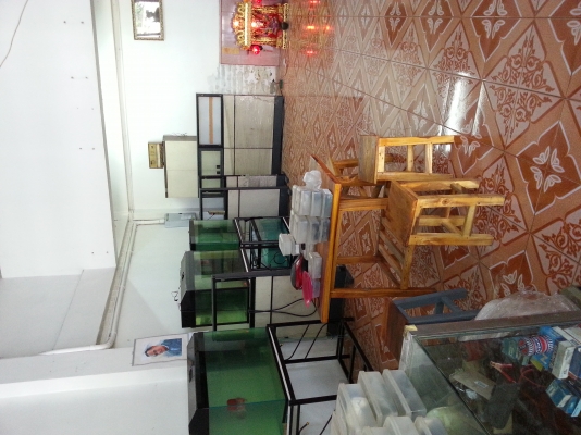 ขายตึก 4 ชั้น 2 คูหา ติดถนนหลังวัดหนามแดง