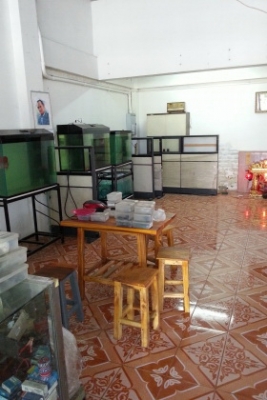 ขายตึก 4 ชั้น 2 คูหา ติดถนนหลังวัดหนามแดง