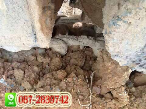 ขาย รถแบคโฮ บูมยาว ติดไลท์สำหรับหัวกระแทก