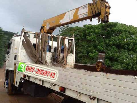 ขาย  รถบรรทุก 6 ล้อ ติดเครน  TADANO ไมล์ 130,370 กม.