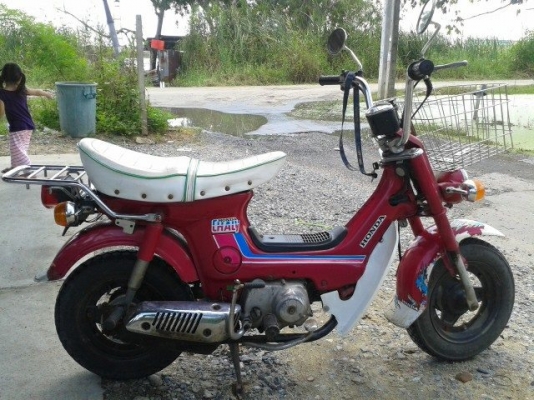 ขายชาลีเดิมๆ 10,000 บาทถ้วน