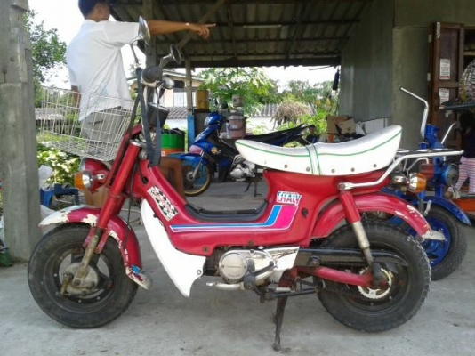 ขายชาลีเดิมๆ 10,000 บาทถ้วน