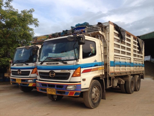 ขายรถบรรทุกมือสอง กระบะเหล็กเพลาเดียว มีจำนวนมาก สนใจติดต่อ 081-9832626 เฮียโชค,086-6772256 เฮียตี๋