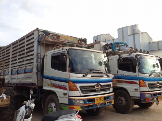 ขายรถบรรทุกมือสอง กระบะเหล็กเพลาเดียว มีจำนวนมาก สนใจติดต่อ 081-9832626 เฮียโชค,086-6772256 เฮียตี๋