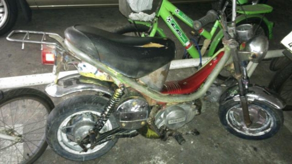 ขาย chippy บังโคลนเหล็กแท้เดิมๆ