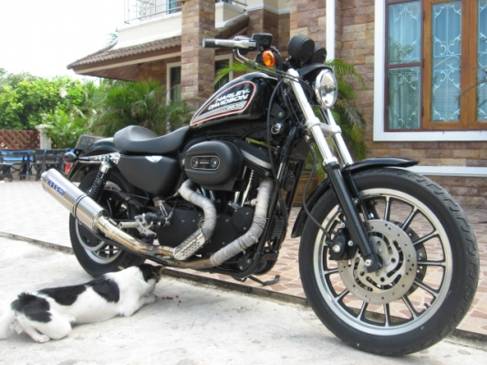 ขาย Harley-Dayvidson sporster883 r ปี 07