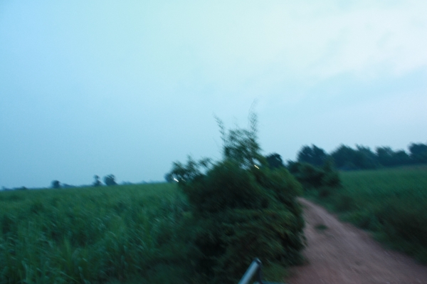 ขายที่ดิน120ไร่ ไร่ละ 80,000 บาท อ.เลาขวัญ จ. กาญจนบุรี