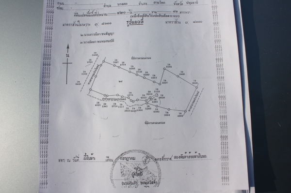 ขายที่ดิน120ไร่ ไร่ละ 80,000 บาท อ.เลาขวัญ จ. กาญจนบุรี