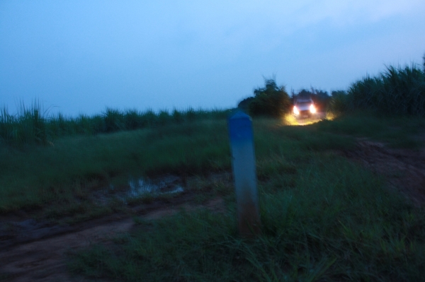 ขายที่ดิน120ไร่ ไร่ละ 80,000 บาท อ.เลาขวัญ จ. กาญจนบุรี