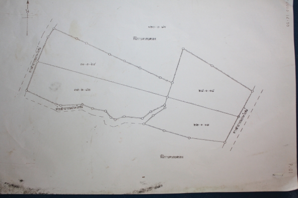 ขายที่ดิน120ไร่ ไร่ละ 80,000 บาท อ.เลาขวัญ จ. กาญจนบุรี