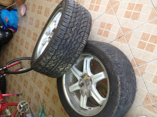 ขาย max Volk Racing R 20 พร้อมยาง สองวงครับ ขาย max Volk Racing R 20 พร้อมยาง สองวงครับ