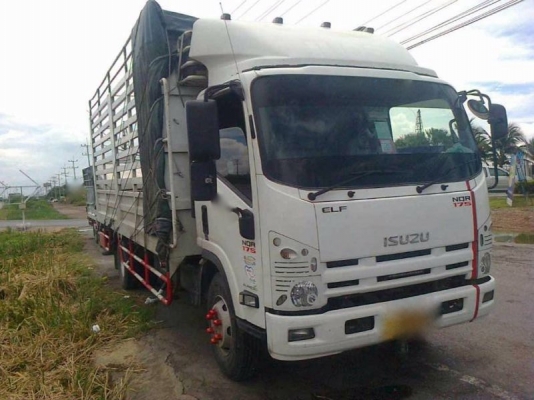 รถอีซูซุ lSUZU 6 ล้อ รั้ว NQR 175 แรงม้า ปี 53  ( รถวิ่ง 2xx,xxx กม. )  สนใจติดต่อ 081 - 6079515