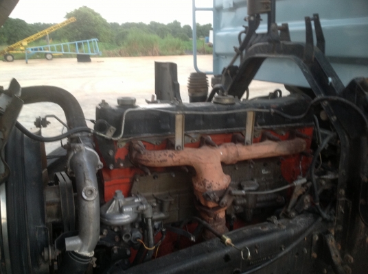 ขายด่วน240นางฟ้าดั้มสามมิตรสวยๆ ขายด่วน240นางฟ้าดั้มสามมิตรสวยๆ