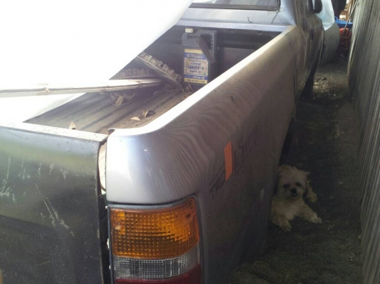 ขายโตต้าไมค์ตี้Xเครื่องJราคาเบาๆ49900สนใจ0853647170 ขายโตต้าไมค์ตี้Xเครื่องJราคาเบาๆ49900สนใจ0853647170