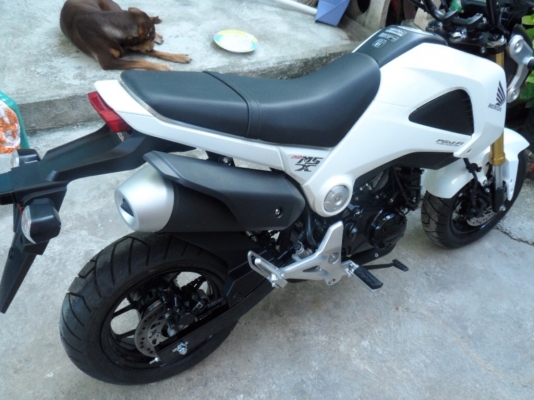 MSX125 หลุดจำนำ เอกสารครบครับ ไมล์ 0 รถยังไม่ได้วิ่งเลย สภาพไม่ต้องพูดถึง กุญแจสองดอก ตอนนี้ขอลดราคาสุดๆไปเลยครับรีบขายจริงๆ สนใจติดต่อ 0873580383 ครับ