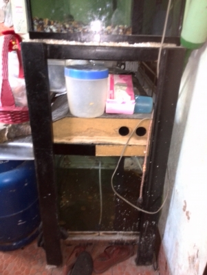 ขายตู้ปลา กxยxส=50x150x60 ซม. 2 ตู้ พร้อมขาตั้ง2 ชั้น ปั้มลม 2 ตัว