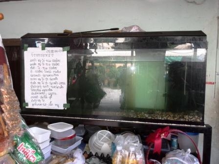 ขายตู้ปลา กxยxส=50x150x60 ซม. 2 ตู้ พร้อมขาตั้ง2 ชั้น ปั้มลม 2 ตัว