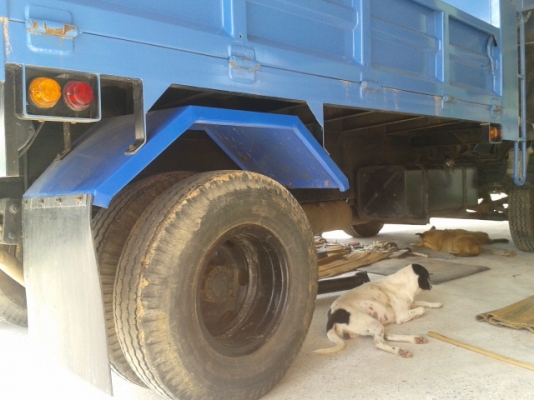 หกล้อดั้ม ISUZU NPR135แรงเทอร์โบ รถห้างแท้ปี47กะบะด้มต่อให่มครับพร้อมใช้ทันที ทะเบียนพร้อม