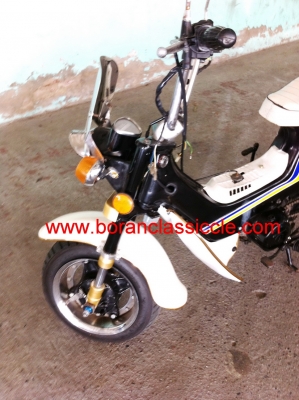 ชาลี ขายทิ้งครับ ราคานี้สุดคุ้มครับ ชาลี ขายทิ้งครับ ราคานี้สุดคุ้มครับ