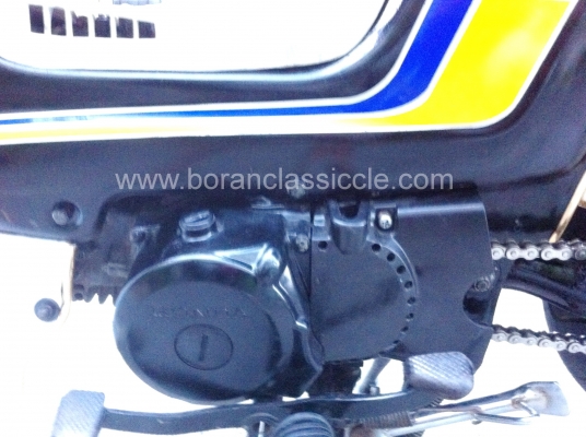 ชาลี ขายทิ้งครับ ราคานี้สุดคุ้มครับ ชาลี ขายทิ้งครับ ราคานี้สุดคุ้มครับ