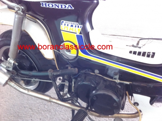 ชาลี ขายทิ้งครับ ราคานี้สุดคุ้มครับ ชาลี ขายทิ้งครับ ราคานี้สุดคุ้มครับ