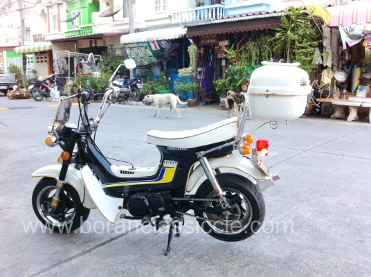 ชาลี ขายทิ้งครับ ราคานี้สุดคุ้มครับ ชาลี ขายทิ้งครับ ราคานี้สุดคุ้มครับ