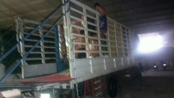 ขายด่วน ISUZU FTR 240 แรง กระบะยาว 7.70 เมตร ปี53 ขายด่วน ISUZU FTR 240 แรง กระบะยาว 7.70 เมตร ปี53