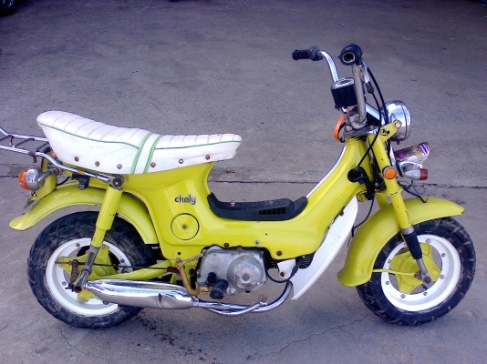 ขาย ชาลี