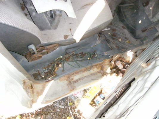 ขายกำลังจะตัดผุครับ (รอหัวโตล่าเสร็จก่อน)อีก7วันครับ