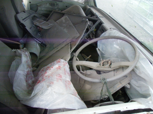 ขายกำลังจะตัดผุครับ (รอหัวโตล่าเสร็จก่อน)อีก7วันครับ