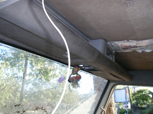 ขายกำลังจะตัดผุครับ (รอหัวโตล่าเสร็จก่อน)อีก7วันครับ