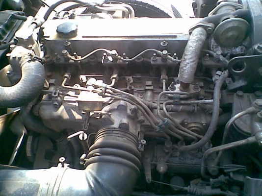 ขายอีซูซุ 6ล้อNKR ต่อดั๊มใหม่ เครื่องยนต์ 120แรง พร้อมทะเบียน พร้อมใช้ ขายอีซูซุ 6ล้อNKR ต่อดั๊มใหม่ เครื่องยนต์ 120แรง พร้อมทะเบียน พร้อมใช้