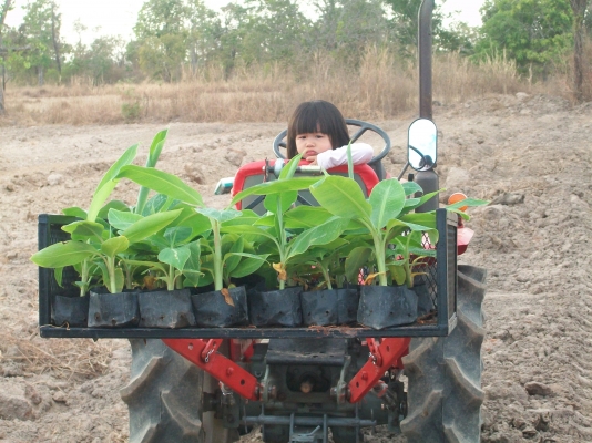 ขายรถไถเล็กยันมาร์ ym1502d