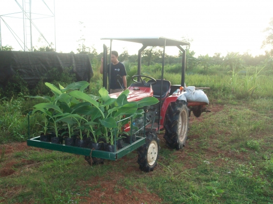 ขายรถไถเล็กยันมาร์ ym1502d