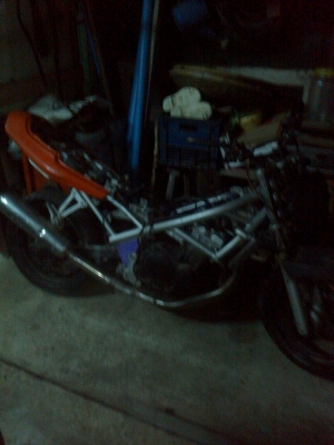 ขายยกฝูง ไม่มีเวลาทำ