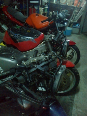 ขายยกฝูง ไม่มีเวลาทำ