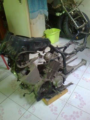 ขายยกฝูง ไม่มีเวลาทำ