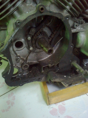 ขายยกฝูง ไม่มีเวลาทำ