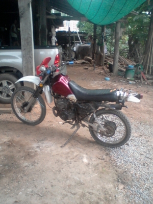 ขาย DT 175 ลดสุดๆ 10,000 บาท