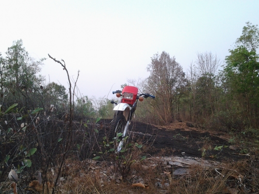 ขาย DT 175 ลดสุดๆ 10,000 บาท