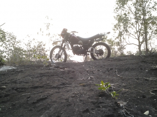 ขาย DT 175 ลดสุดๆ 10,000 บาท