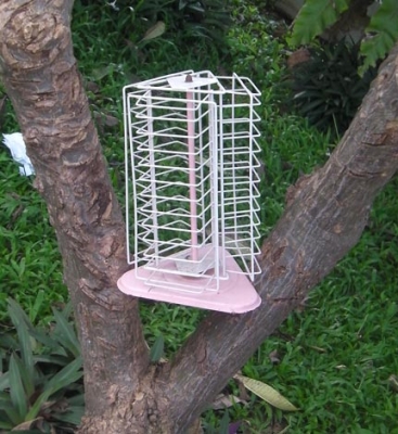 สามอย่างถูกๆ