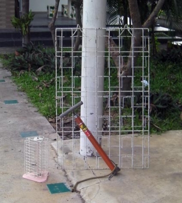 สามอย่างถูกๆ