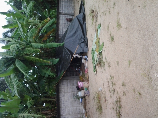 ขายปั่นจั่น13 เมตร ตุ้ม 3.6 วิน 28  ช่างบอย 085-7666984